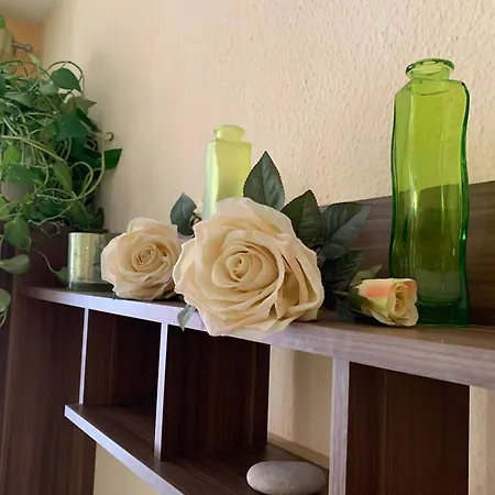 In Der Altstadt Von Apartment Erfurt